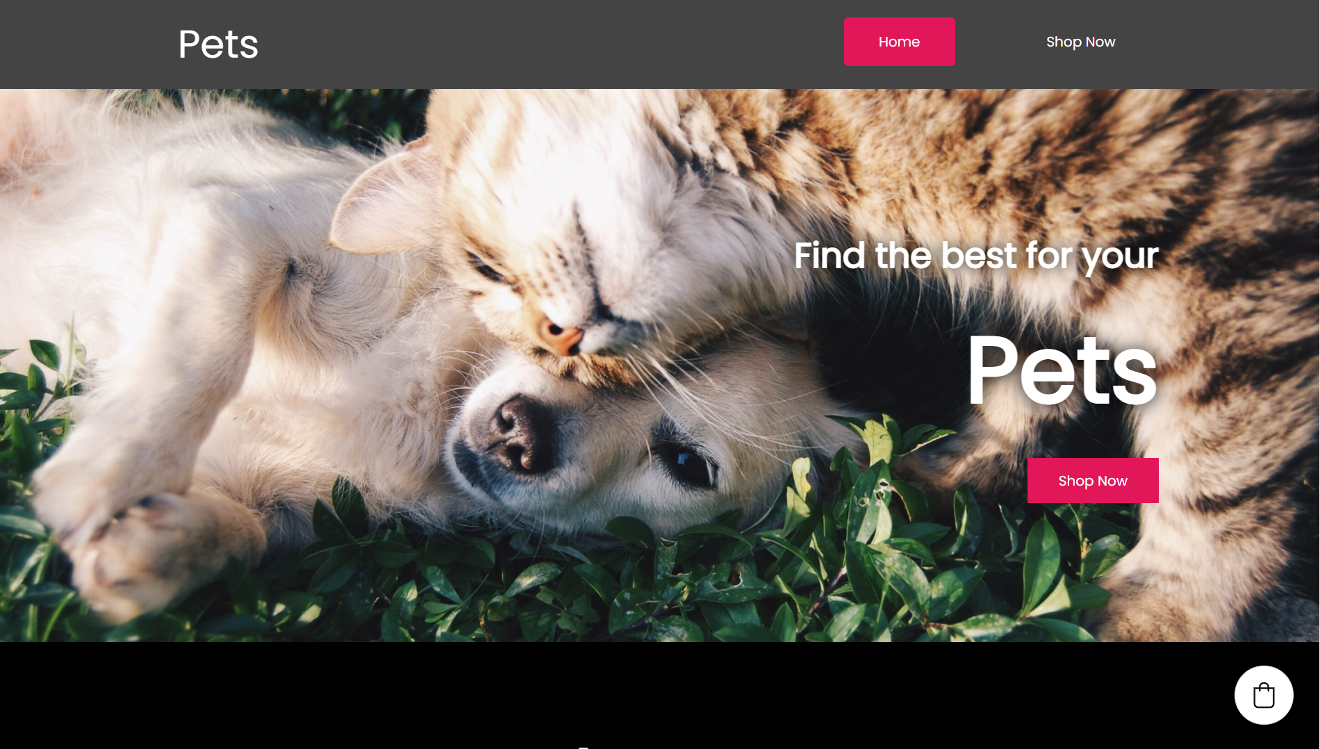 Pets